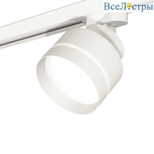 Комплект трекового светильника Ambrella light Track System XT (A2524, A2105, C8101, N8461) XT8101025