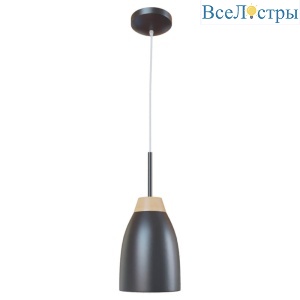 Подвесной светильник LOFT IT Watchman Loft4402A-Bl