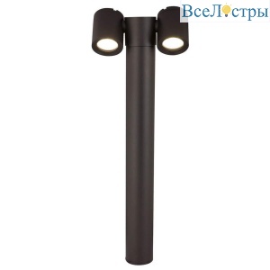 Уличный светильник Maytoni Wall Street O010FL-02B
