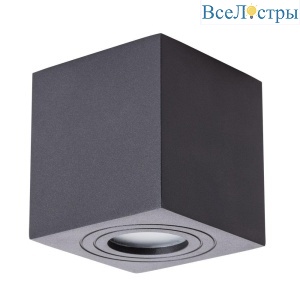 Накладной светильник Arte Lamp Galopin A1461PL-1BK