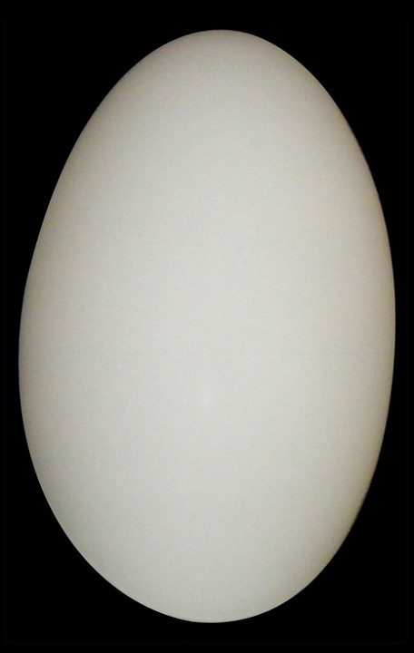 накладной светильник lightstar sferetta 801600