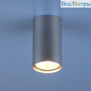 Потолочный светильник Elektrostandard 1081 5257 GU10 SL серебро 4690389104381
