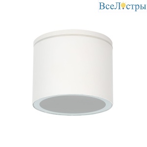 Уличный потолочный светильник Arte Lamp Piautos A1913PF-1WH