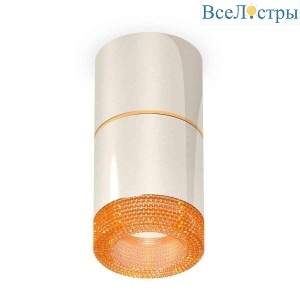 Комплект накладного светильника Ambrella light Techno Spot XS7405062 PSL/CF серебро полированное/кофе (C7405, A2072, C7405, N7195)