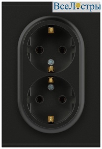 Розетка Эра Arktik 16-2105-05 двойная с заземлением 2X2P+E Schuko со шторками 16А-250В антрацит Б0070458