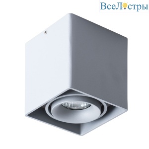Потолочный светильник Arte Lamp Pictor A5654PL-1GY