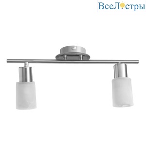 Спот Arte Lamp A4510PL-2SS