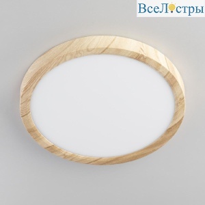 Потолочный светильник Citilux Бейсик CL738182V