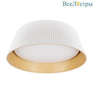 Потолочный светодиодный светильник Loft IT Evans 10224 White