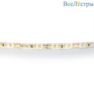 Светодиодная лента Lightstar 16W/m 168LED/m дневной белый 5M 420824