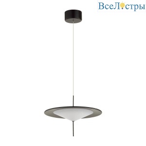 Подвесной светодиодный светильник Odeon Light Steka 5012/16L