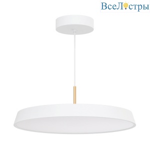 Подвесной светильник Arlight SP-Elegant-R500-37W Warm3000 033925