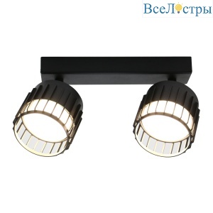 Спот General Клетка GWL-2GX53-M-IP20 662685
