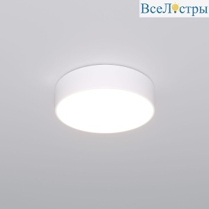 Потолочный светильник Eurosvet Entire 90318/1 белый a063076