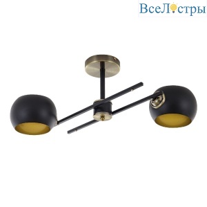 Потолочный светильник Modemodern MD.5171.2