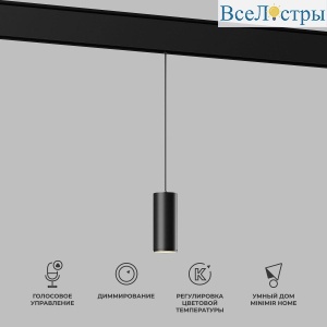 Подвесной трековый светодиодный светильник Elektrostandard Slim Magnetic Dim Amend 85072/01 черный a063533