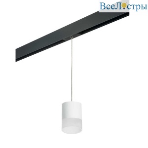 Трековый светильник Lightstar Rullo (213486+595887+202481) PRORP348681