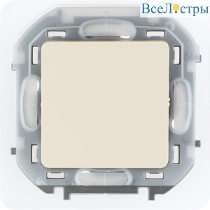Переключатель одноклавишный Legrand Inspiria 673671