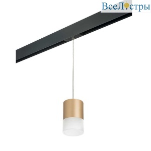 Трековый светильник Lightstar Rullo (213490+595887+202481) PRORP349081
