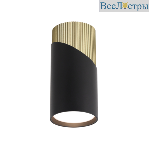 Накладной светильник Wolta Dolce WSL-GU10/06BG