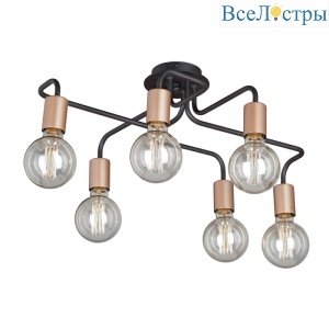 Потолочная люстра Vitaluce V4560-1/6PL