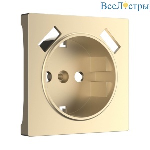 Накладка для розетки USB Werkel шампань W1179511 4690389157462