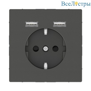 Розетка компьютерная USBx2 Schneider Electric Merten D-Life MTN2366-6034