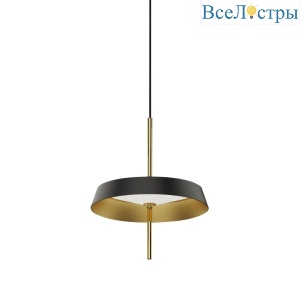 Подвесной светильник Delight MD18001061-1A  black/gold