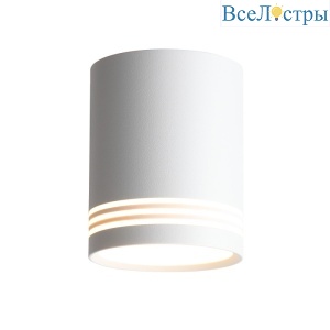 Накладной светильник ST Luce ST101.502.12