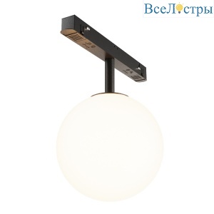 Трековый светильник Technical Maytoni Luna TR038-2-5W3K
