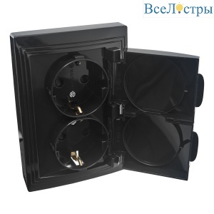 Розетка 2П+З двойная с защ. шт. и крышкой скрытой установки 16А 250В IP44, черная (керамика) "Дельта 477324