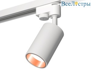 Трековый однофазный светильник Ambrella Light Track System XT6322024 (A2520, C6322, N6114)