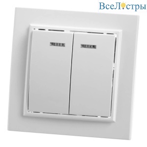 Выключатель двухклавишный Feron Stekker Эрна с подсветкой PSW10900201 39042