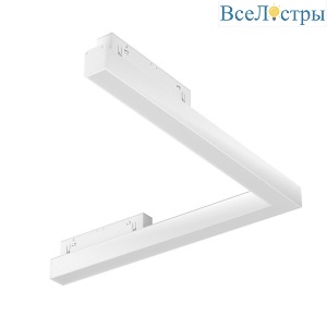 Трековый магнитный светильник Maytoni Basis TR042-2-24W4K-W