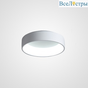 Потолочный светильник Imperium Loft Tray 102137-26