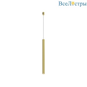Трековый магнитный светильник Maytoni Focus LED TR156-1-5W3K-BS