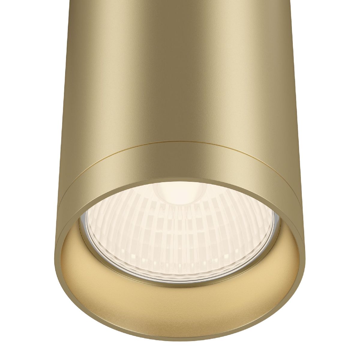 потолочный светильник maytoni focus c010cl-01mg