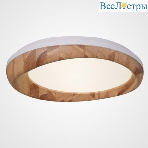 Потолочный светильник ImperiumLoft Runis 219477-26