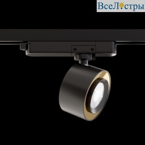 Трековый светильник Maytoni Treo TR023-1-12B3K