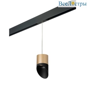 Трековый светильник Lightstar Rullo (213490+595887+201487) PRORP349087