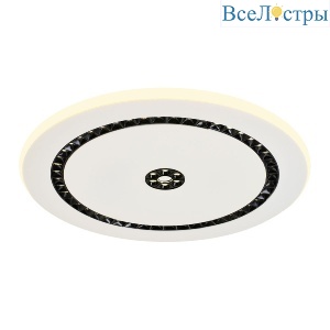Потолочный светильник F-Promo Skiva 4433-1C