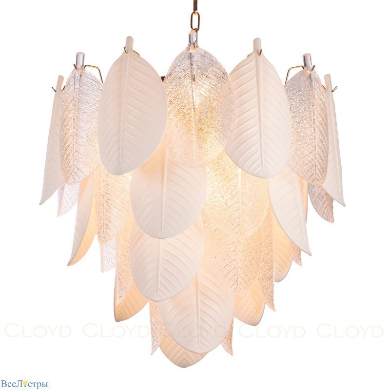 Trapesund Cloyd