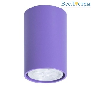 Потолочный светильник TopDecor Tubo6 P1 22