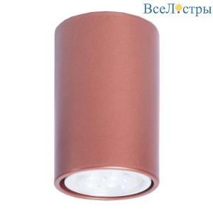 Потолочный светильник TopDecor Tubo6 P1 20
