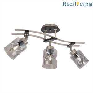 Спот Citilux Мерида CL142135