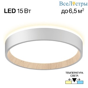 Потолочный светильник Citilux Etalon CL750180