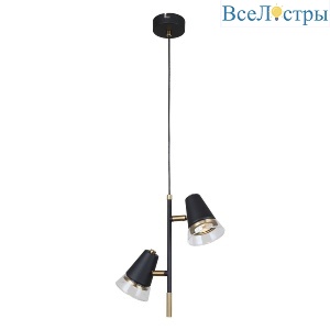 Подвесной светильник F-Promo Trandy 4618-2P