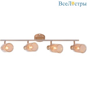 Спот Reluce 06125-3.8-04 WH+FGD