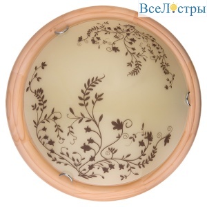 Настенно-потолочный светодиодный светильник Toplight Irene TL9630Y-00PN
