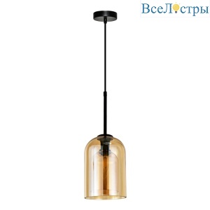 Подвесной светильник Arte Lamp Paio A7015SP-1BK